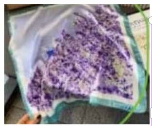 Les Secrets de Lisbonne