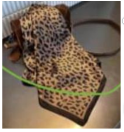 Coucher de Soleil sur la Savane